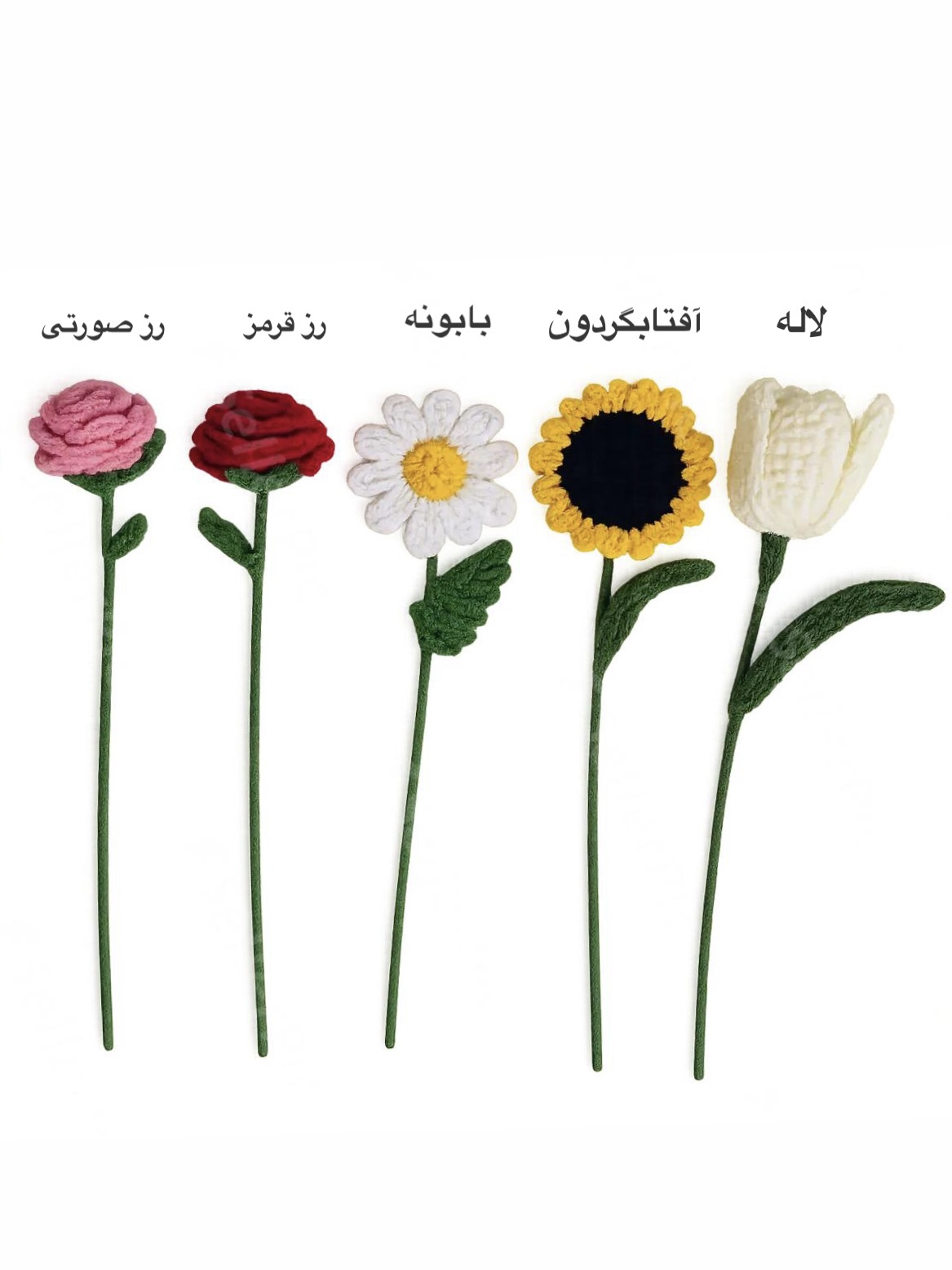 6D0C183D-0B26-4584-BA3F-483E1EF40CA2