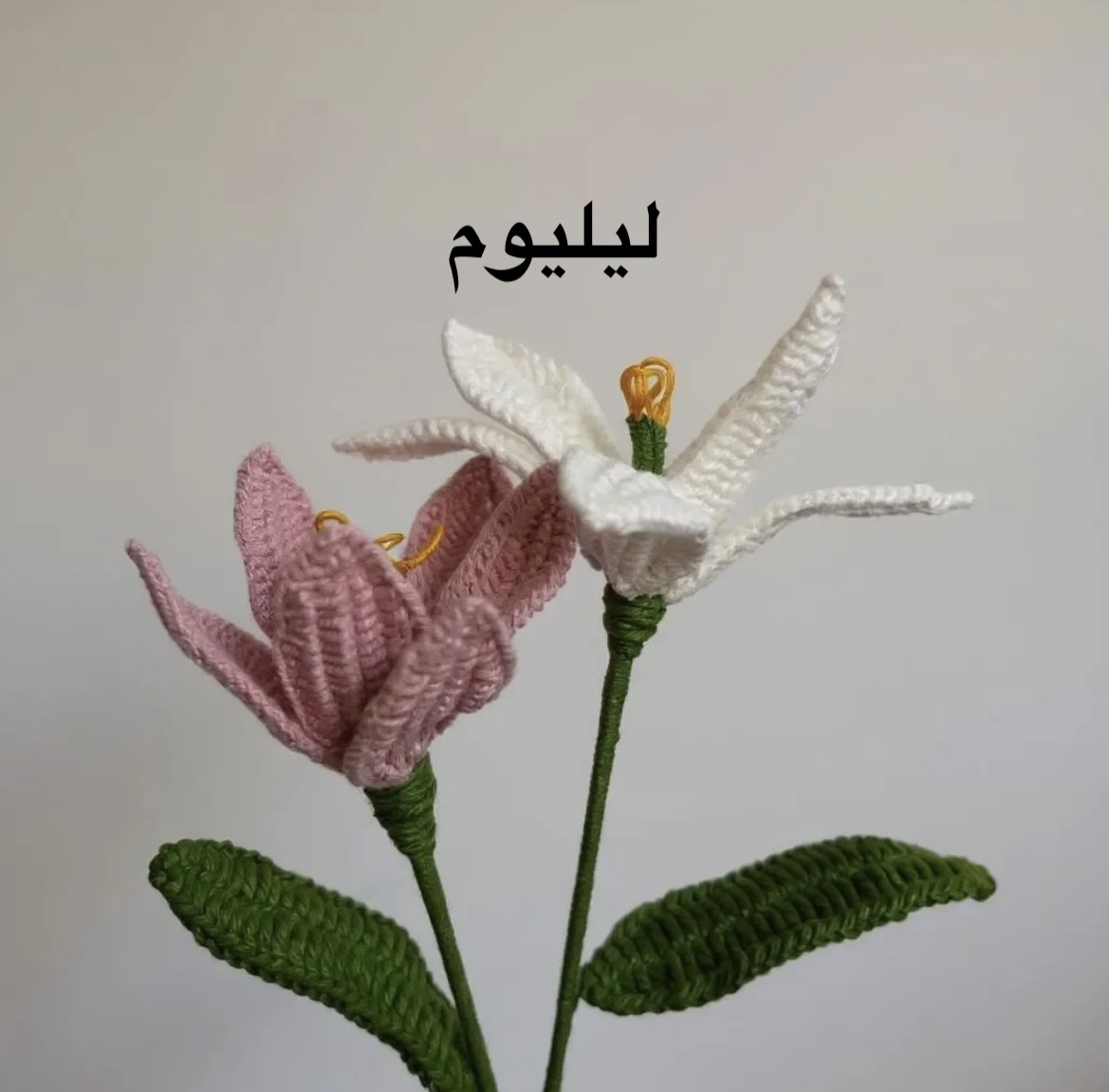 799DC4EE-E91A-4724-908F-67172CD297B5